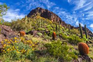 Picacho Peak-6277.jpg